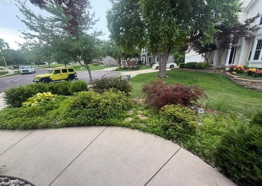 Clean landscape bed after maintenance