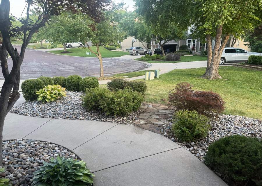 Overgrown landscape bed before maintenance
