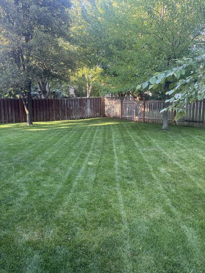 Precision lawn care with clean edges and striping