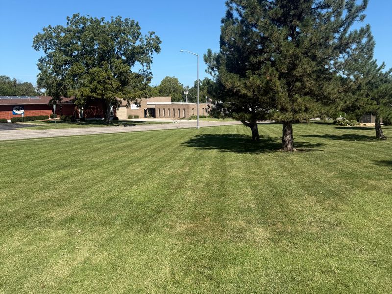 Commercial landscaping services