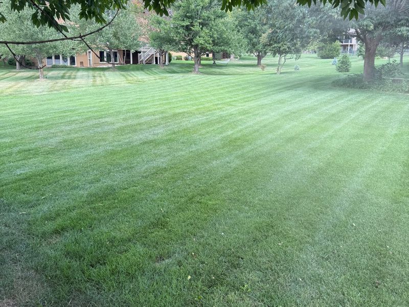 Weekly lawn mowing service in Overland Park